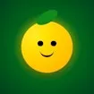 Fruit Match Quest
